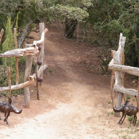 Addo Dung Beetle Guest Farm Βίλα Εξωτερικό φωτογραφία