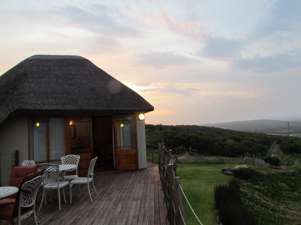Addo Dung Beetle Guest Farm Βίλα Εξωτερικό φωτογραφία