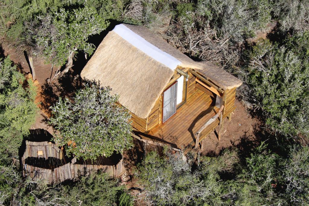 Addo Dung Beetle Guest Farm Βίλα Δωμάτιο φωτογραφία
