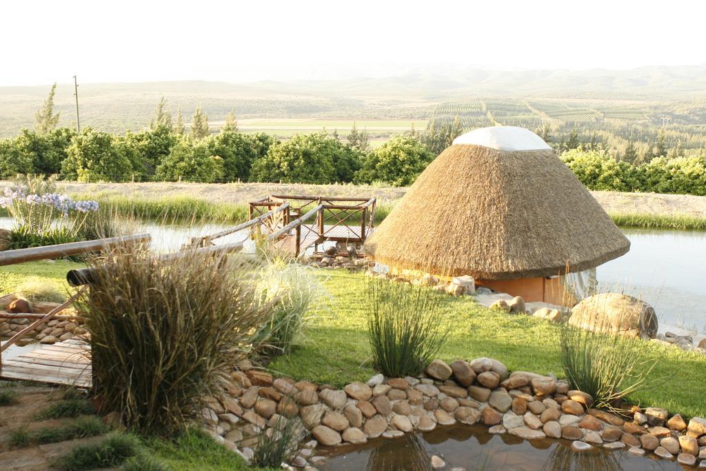 Addo Dung Beetle Guest Farm Βίλα Εξωτερικό φωτογραφία