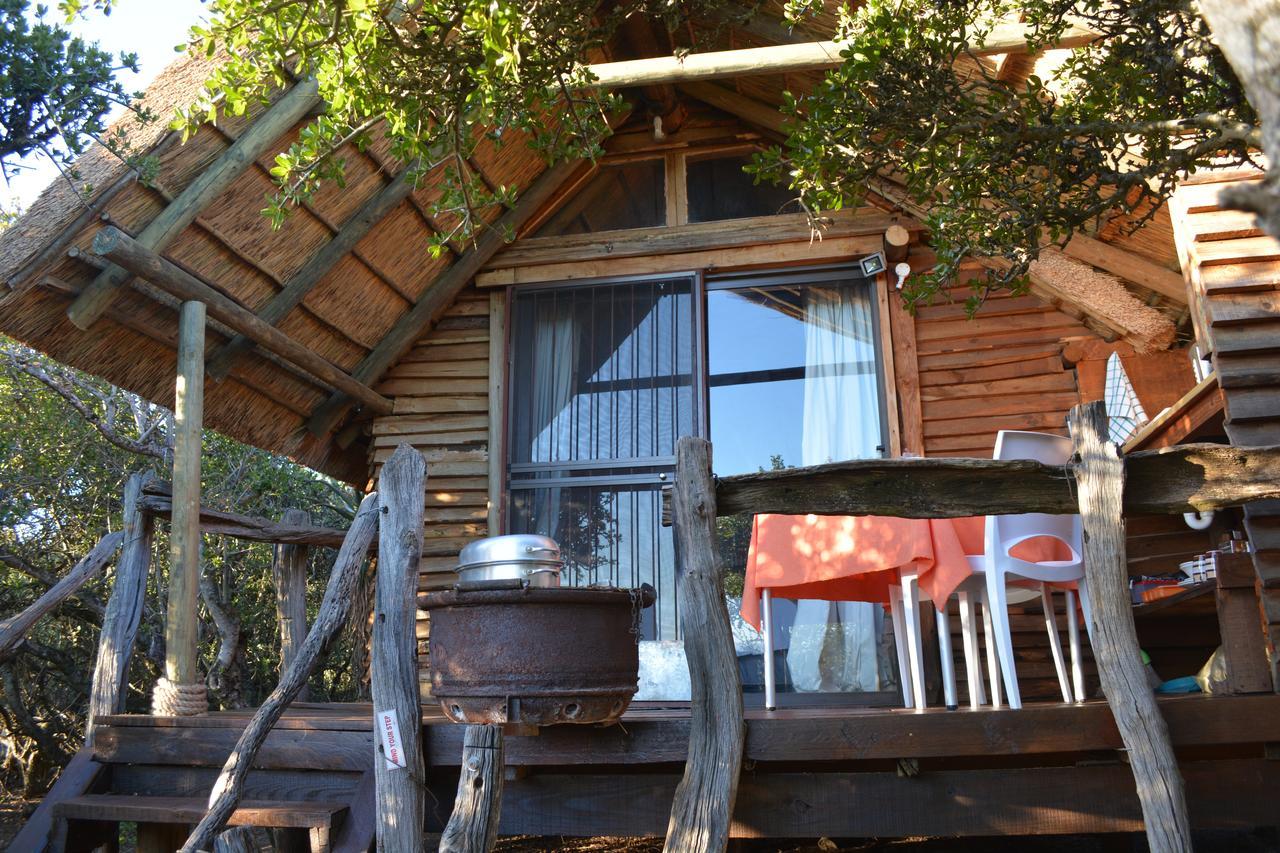 Addo Dung Beetle Guest Farm Βίλα Εξωτερικό φωτογραφία