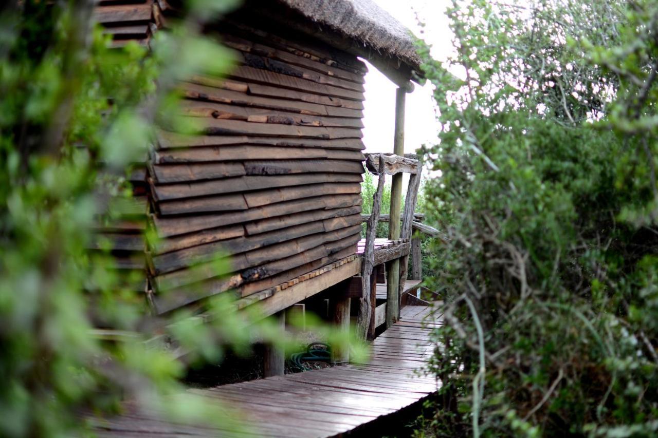 Addo Dung Beetle Guest Farm Βίλα Εξωτερικό φωτογραφία