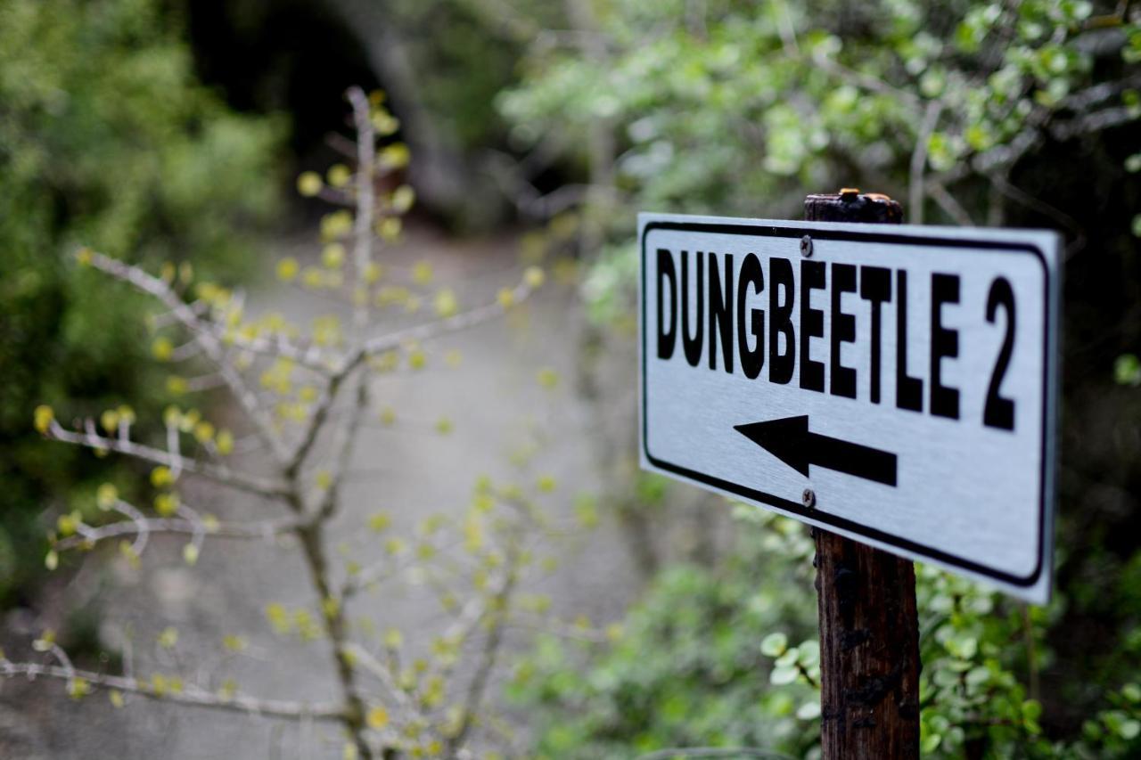 Addo Dung Beetle Guest Farm Βίλα Εξωτερικό φωτογραφία
